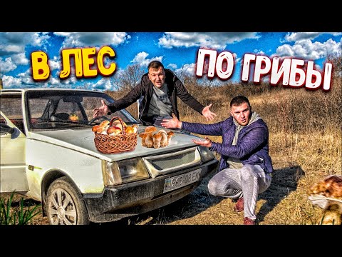 Видео: В ЛЕС НА МАШИНЕ ЗА ГРИБАМИ/ЖАРИМ ГРИБОЧКИ НА ОГНЕ/РЫБАЧИМ НА ЩУКУ