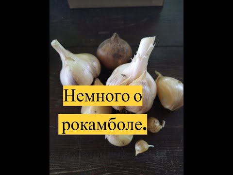 Видео: Рокамболь.