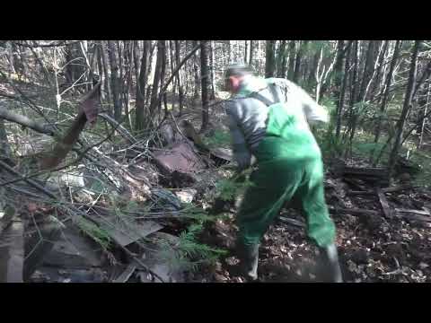 Видео: Осень.  Хорошая погода.  Металлокоп.