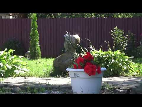 Видео: КОНКУРС 1