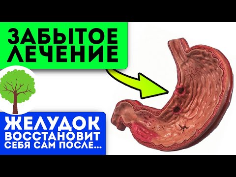 Видео: Старенькая бабушка-знахарка посоветовала! Даже хронический гастрит боится настоя из…