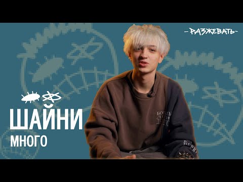 Видео: Шайни - Много | Разбор текста