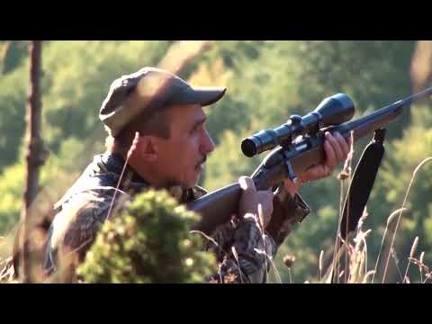 Видео: ДЛС  КОРМИСОШ  5