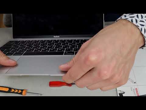 Видео: MacBook a1534 замена клавиатуры. "Разборка" и сборка :) Челендж, кто закрутит больше болтов!