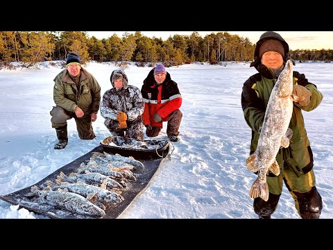 Видео: Рыбацкий рай под Новый Год в ХМАО.Часть 2.