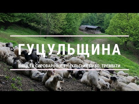 Видео: Гуцульщина - цікаві місця в Рахові та околицях