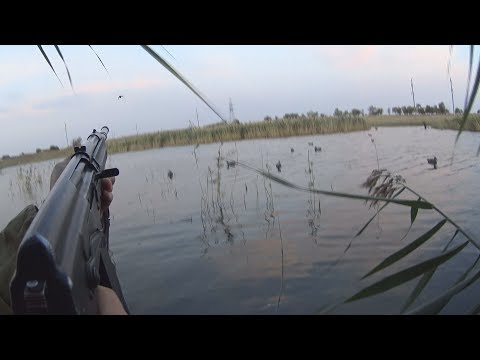 Видео: #1 Открытие охоты на водоплавающую дичь с Сайги-12       (  23.09. 2017г)#СтепнаяТропа