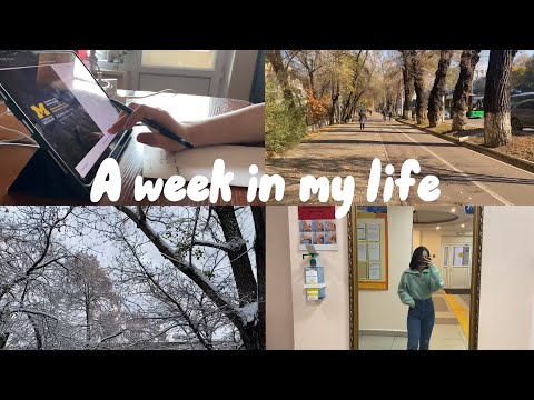 Видео: Vlog: A week in my life. Студентка КазНМУ им. Асфендиярова | #한국어공부