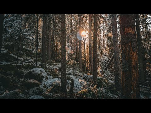 Видео: Лучшее место на земле часть 1