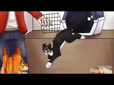Видео: /Звездный луч и Джейк/ Коты воители/Шепотом/