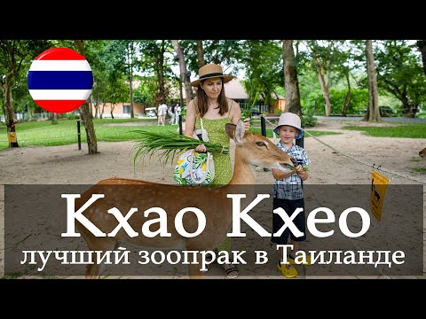 Видео: Vlog 131 - Зоопарк Кхао Кхео лучший зоопарк в котором мы были! Открытый зоопарк в Таиланде.