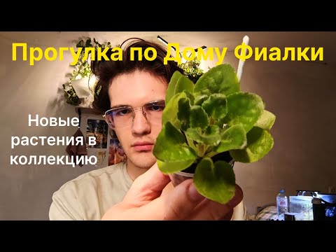 Видео: СЪЕЗД СЕЛЕКЦИОНЕРОВ! / Новые растения в мою коллекцию / Первые фиалки в моих руках