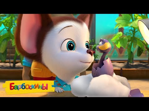 Видео: Барбоскины 🐍 Новый друг 🐍 Сборник мультиков для детей