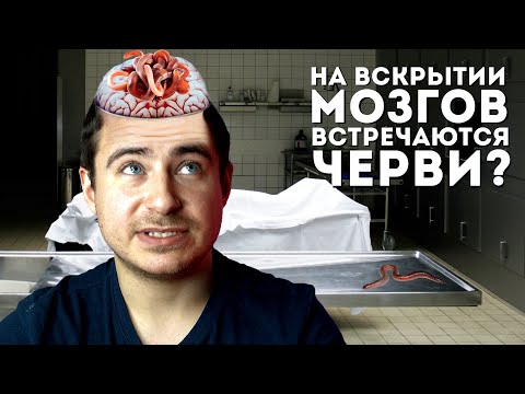 Видео: На вскрытии мозгов встречаются черви | Отвечаю на ваши комментарии #15 | Мамедыч
