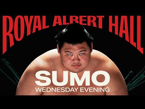 Видео: Турнир по сумо в Лондоне день 3 Сумо на русском 2025 ( Sumo tournament London)