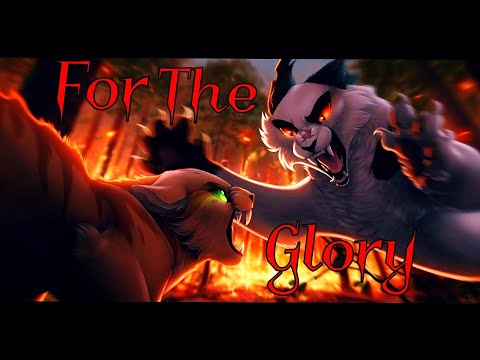 Видео: ЗАКАЗ Коты Воители Чернозвёзд: For the glory [All Good Things]