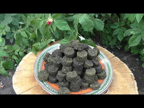 Видео: Иван-Чай в пилюлях (изготовление)