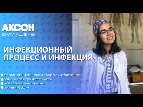 Видео: Инфекционный процесс