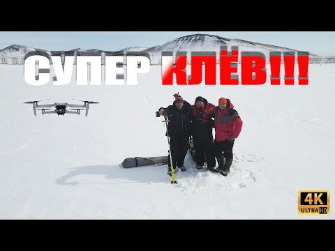 Видео: Весенняя Рыбалка в Красноярском крае!!! Вот это КЛЁВ, лунка КИПИТ от РЫБЫ!!! День рождения ДРУГА!!!