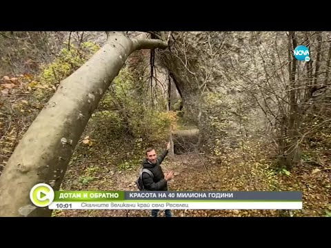 Видео: „ДОТАМ И ОБРАТНО”: Скалните великани до Реселец - Събуди се (28.11.2020)