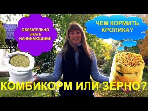 Видео: Комбикорм или зерно чем кормить кролика? Вред комбикорма. ЗА и ПРОТИВ. Кролики.