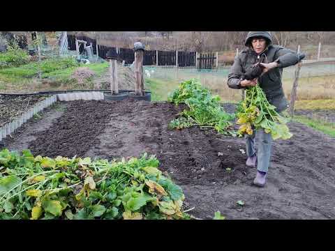 Видео: Что происходит на деревне осенью 2025года?!