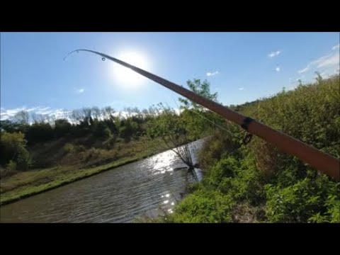 Видео: Рыбалка на ПОПЛАВОЧНУЮ удочку в Орловской области.