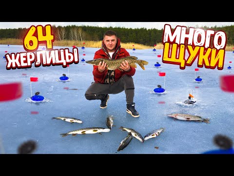 Видео: ПОСТАВИЛИ 64 ЖЕРЛИЦЫ! ПОЙМАЛИ МНОГО ЩУКИ! КРУТАЯ ЗИМНЯЯ РЫБАЛКА! В ГОСТЯХ У ПОДПИСЧИКА!