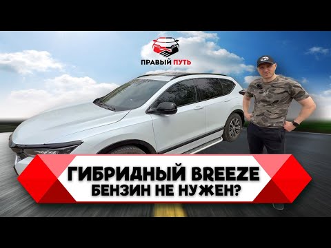 Видео: ОБЗОР НА HONDA BREEZE HYBRID 2.0 e-CVT e: PHEV. ОТЗЫВ НА ХОНДУ БРИЗ ПОСЛЕ ДВУХ МЕСЯЦЕВ ВЛАДЕНИЯ
