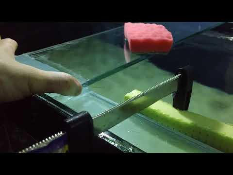 Видео: Запустил аквариум 660 литров из стекла 8мм