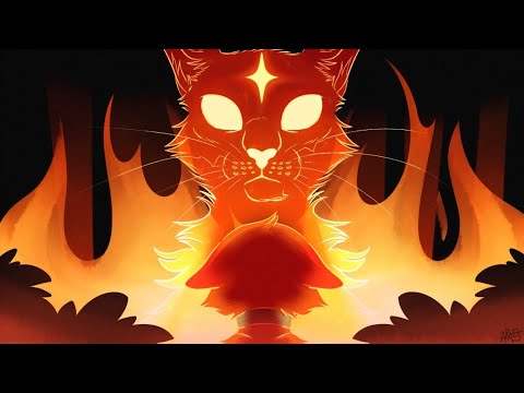 Видео: коты воители клип-Believer (на русской) огнезвёзд