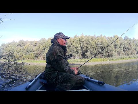Видео: Хищник на Оби в сентябре.Рыбалка продолжается!