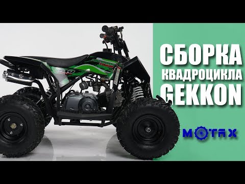 Видео: Детский квадроцикл Motax GEKKON | Сборка квадроцикла