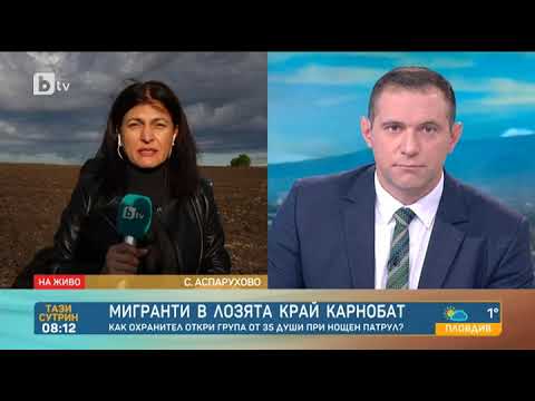 Видео: Тази сутрин: Охранител откри мигранти в лозя край карнобатско село
