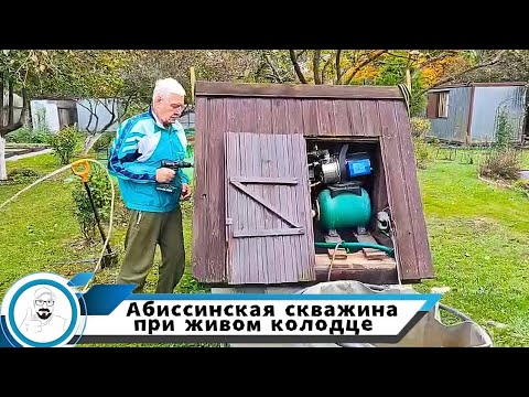 Видео: Абиссиним на замену колодца // необычный водонос