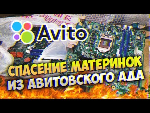 Видео: Спасение Материнок из Авитовского АДА - Приключения с АВИТО