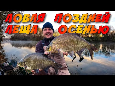 Видео: ПЕРВЫЙ ЛЁД НА РЕКЕ! Ловля ТРОФЕЙНОГО Леща поздней Осенью на фидер!