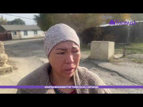 Видео: Сарымсак терип ууландым, эми жолдошумду ким багат? - Толкунай Аблабек кызы