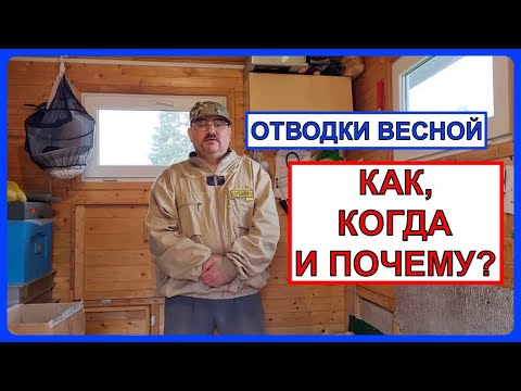 Видео: 🔴 Полезные знания об отводках. Пчеловодство для начинающих 2024 🔴