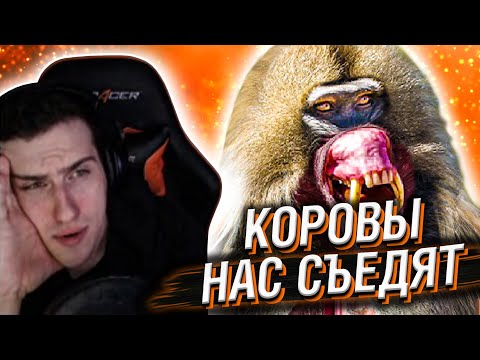 Видео: Hellyeahplay смотрит: Травоядные, Которые Уничтожат Плотоядных