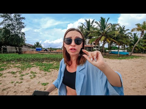 Видео: ОЛЕНИ В ГОРОДЕ. КАК МЫ ЛОХАНУЛИСЬ В ТРИНКОМАЛИ С ОТЕЛЕМ.