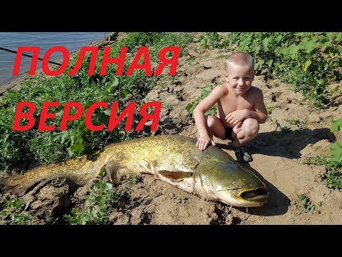 Видео: Урал 2019г.  Трофейный сом и сазан.  Полная версия