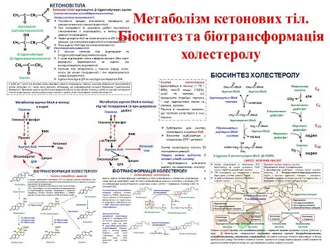 Видео: Крок 1 Біохімія. Метаболізм кетонових тіл. Біосинтез та біотрансформація холестеролу