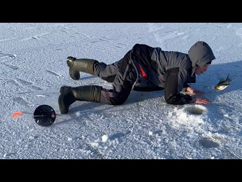 Видео: Щука выпрыгивает из лунок. Озеро Зайково. Погода 😬, мороз и ветер. Рыбалка зимой на жерлицы.