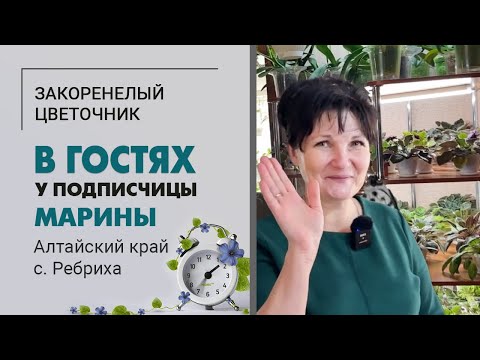 Видео: В гостях у подписчицы Марины. Алтайский край, село Ребриха | Фиалки, папоротники, замиокулькас, хойи