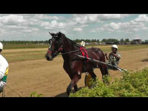 Видео: Карталы.Ипподром.Скачки.День района.2017.