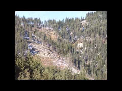 Видео: Златана Узунова   Хранила майка, кутила