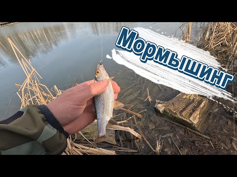 Видео: В ПОСКЕ РЫБЫ с МОРМЫШИНГОМ! Black Adder!