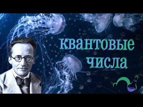Видео: Как узнать всю информацию об электронах? Квантовые числа (Строение атома)