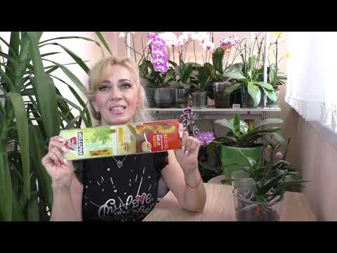 Видео: Орхидеи САКУРЫ, НЕОЖИДАННОСТЬ./ ПОЛЕЗНОЕ приобретение от вредителей на орхидеях.